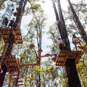 High Ropes Experience